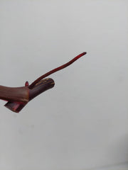 Philodendron Red Anderson Steckling