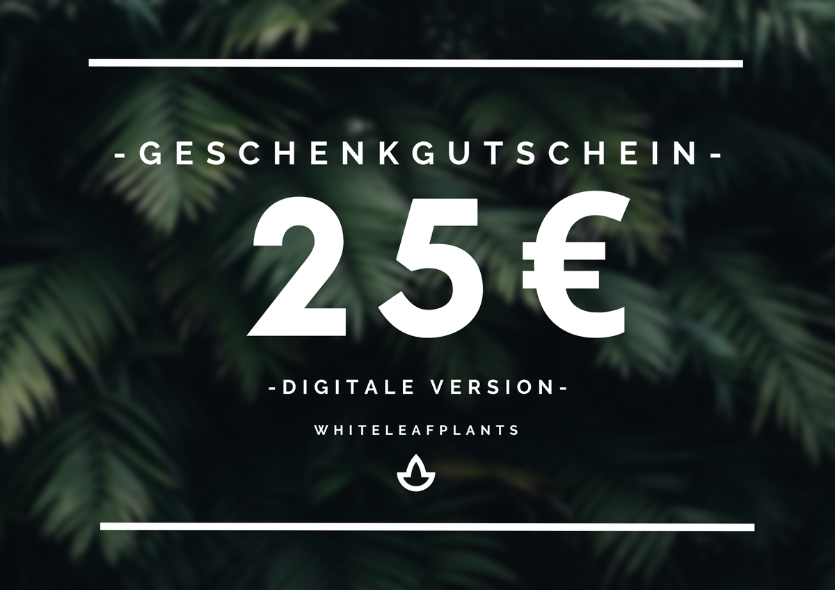 Geschenkgutschein (digitale Version)