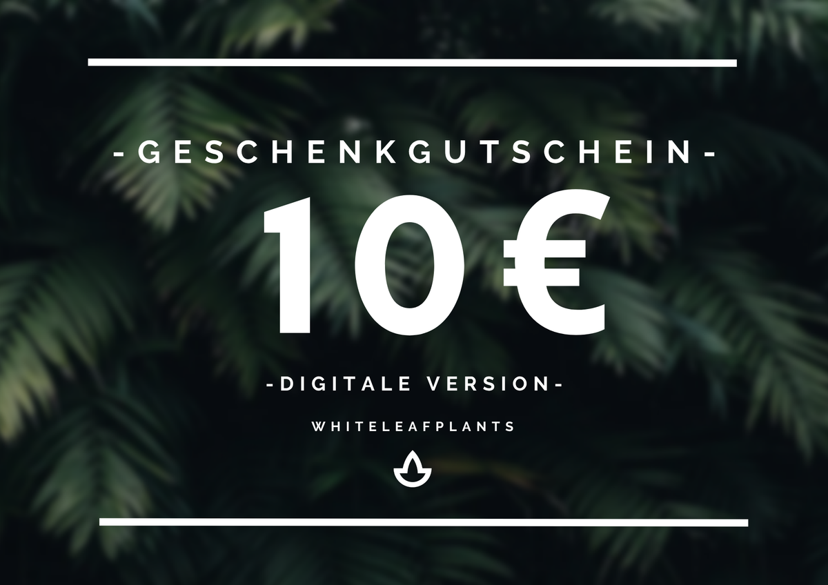 Geschenkgutschein (digitale Version)